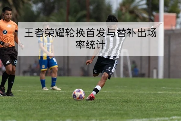 王者荣耀轮换首发与替补出场率统计