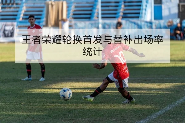 王者荣耀轮换首发与替补出场率统计