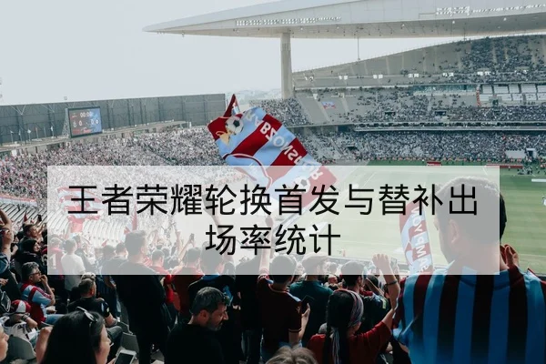 王者荣耀轮换首发与替补出场率统计
