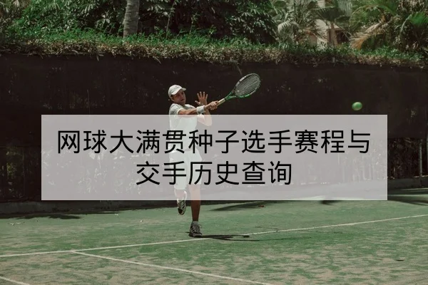 网球大满贯种子选手赛程与交手历史查询
